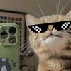 fan_tugus