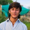 bangash.586