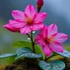 kunn.shwe.yi