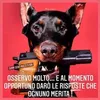 benitotanzillo6