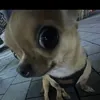 nk!