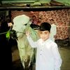 malikjunaidkhan008