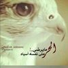 user9622656190610