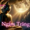 trn.vn.tn269