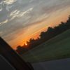 ann7_3333