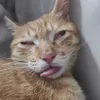 nglinhh_00