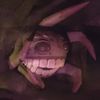 babyaxolotl20