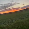 .dom.genziary