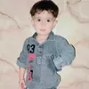 user8101440181249