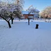 ivica.mali5