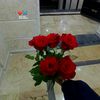 sabah.elsayed13