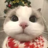 _meryy_21