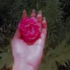 hnan_2422