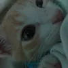 kisraaranda.com