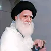 amoli863