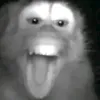 skdmsisjd