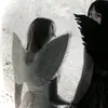 f_xix6