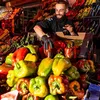 lafrutteriapeppfo