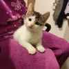 giadina0826