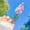 sarah.ahmed250