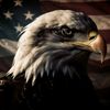 bald.eagle901