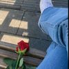 di_gm_3397