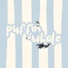puffinwhalestudio