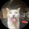 diddysburgers69