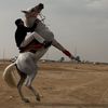 ammar_910