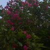 user5104079050455