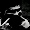 user4581770235