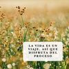 chismeando793