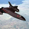 ldomlninyblackbird