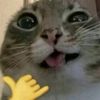 JNTB