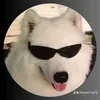 ngochan.luu