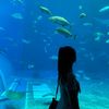 molly_0506