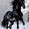 mahmoudmahmaed32