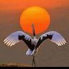 waqar.ahmed094