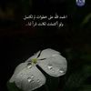 user9662401690962