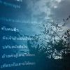 .miss._7
