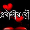 ✈️🥰মালোশিয়া প্রবাসীর বউ🥰✈️