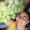 bruna.sousa643