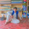 saifullahbhatti375