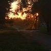 torro_seventeen0