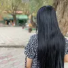 shang.gardi