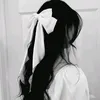 gz238