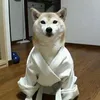 ilovekarate