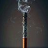 _zaur_21_021_