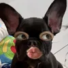 otpsocute