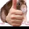 1namrkiniemdep13112023